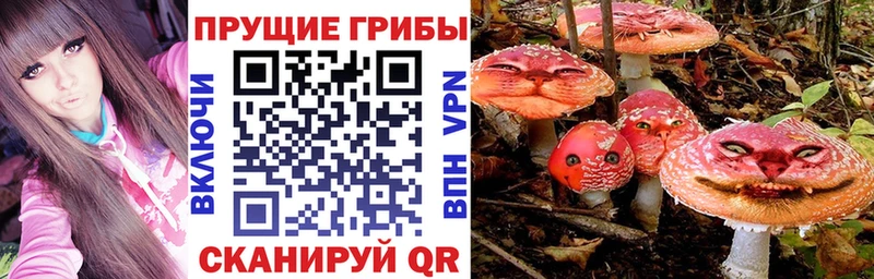где можно купить   Ельня  Галлюциногенные грибы мухоморы 